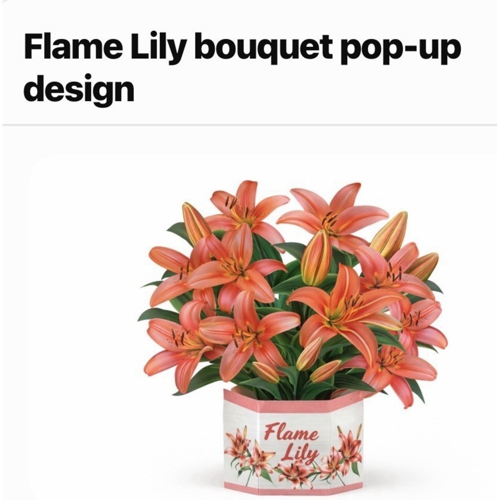 Pop Up Card Paper Forever Flower Bouquet, 12" Hot Lilly. [H]